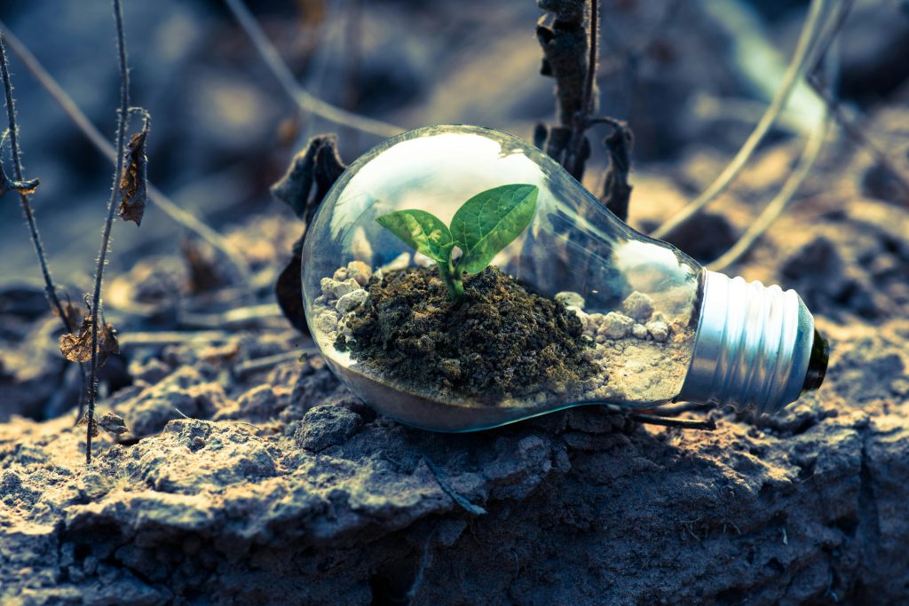 Bec reprezentand ideea de casa ecologica