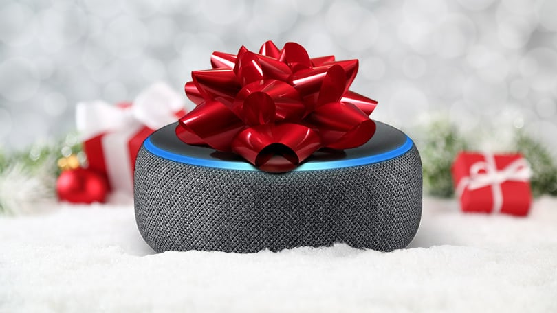 Boxa Amazon Alexa impachetata cu o funda de cadou