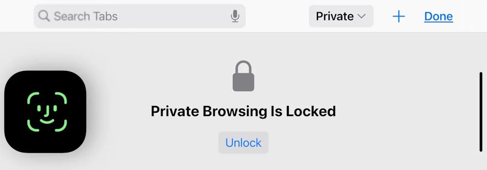 Cautare privata cu Face ID