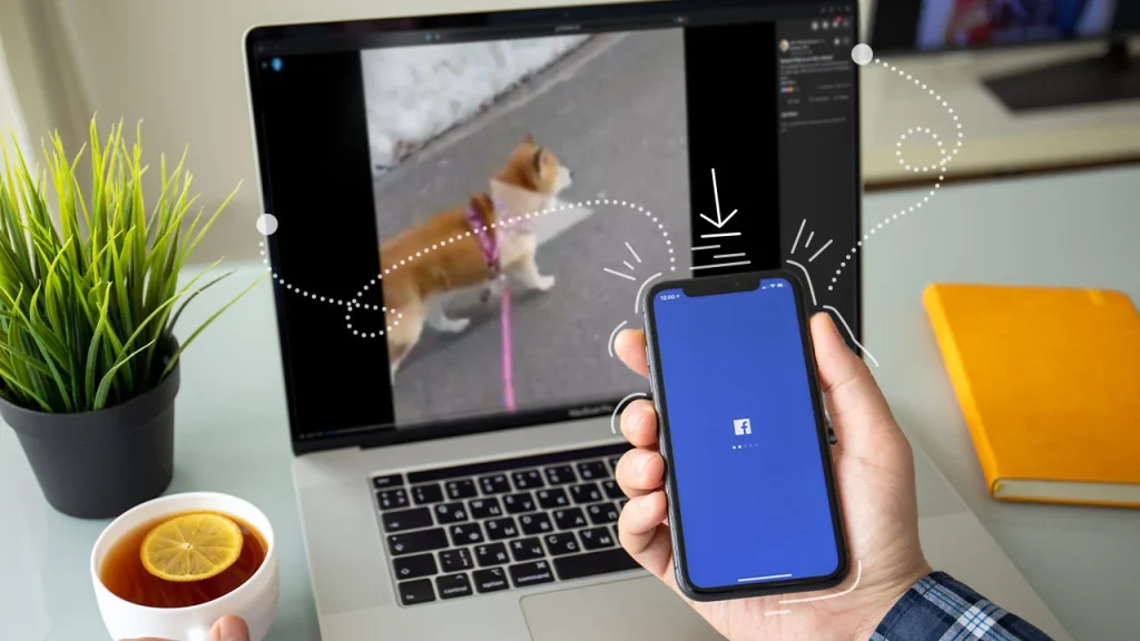 Nu pierde clipurile preferate: cum să descarci videoclipuri de pe Facebook