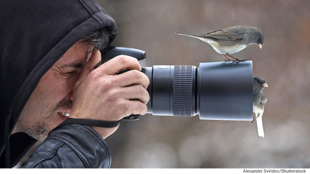 O pasare sta asezata pe obiectivul unui fotograf