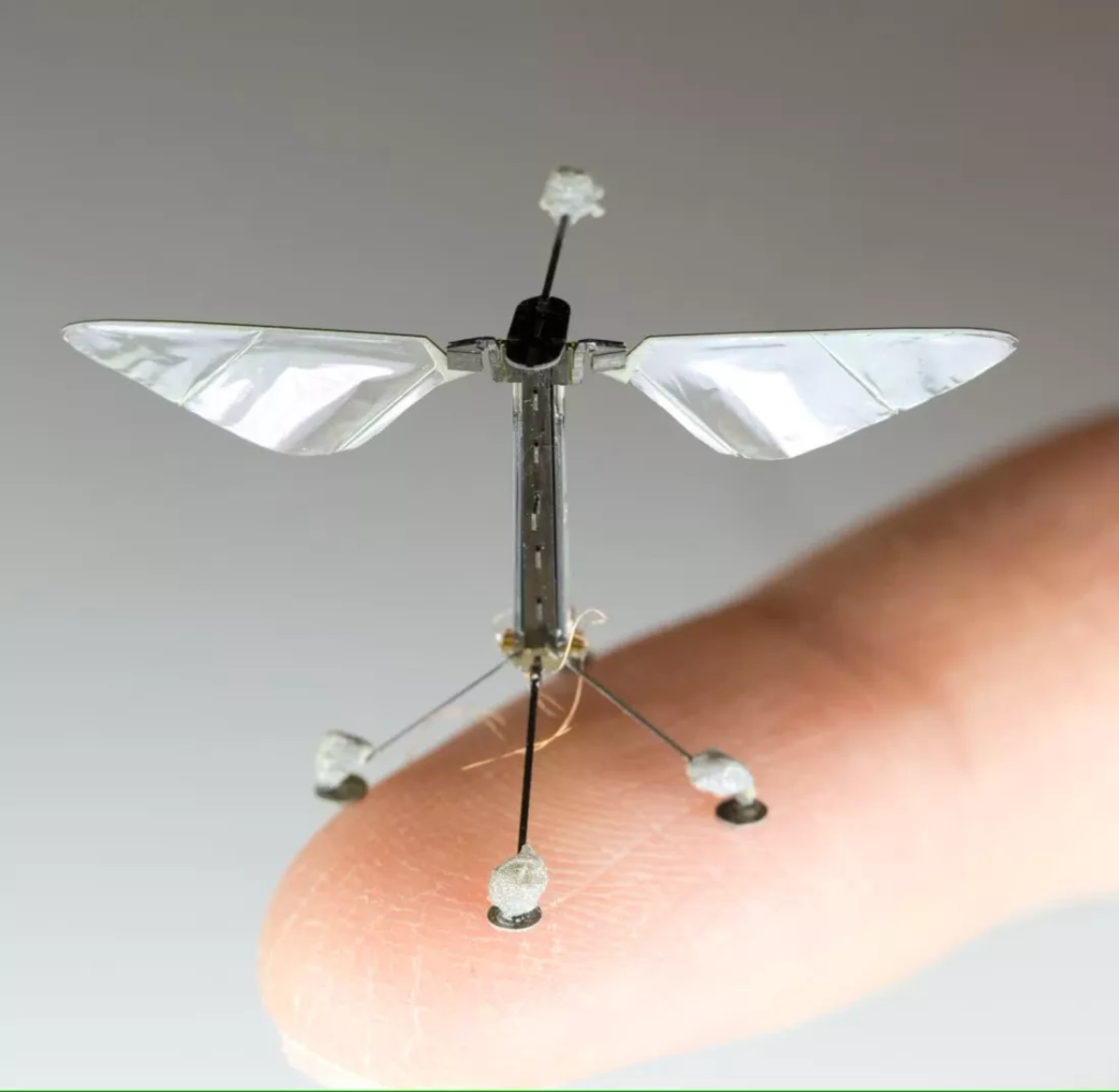 Model microdrona Robobee