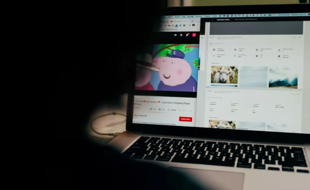 Persoana urmareste videoclipuri pe Youtube