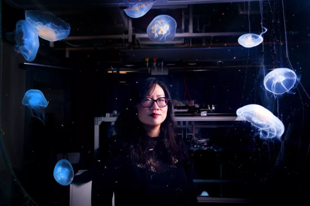 Inginer Nicole Xu