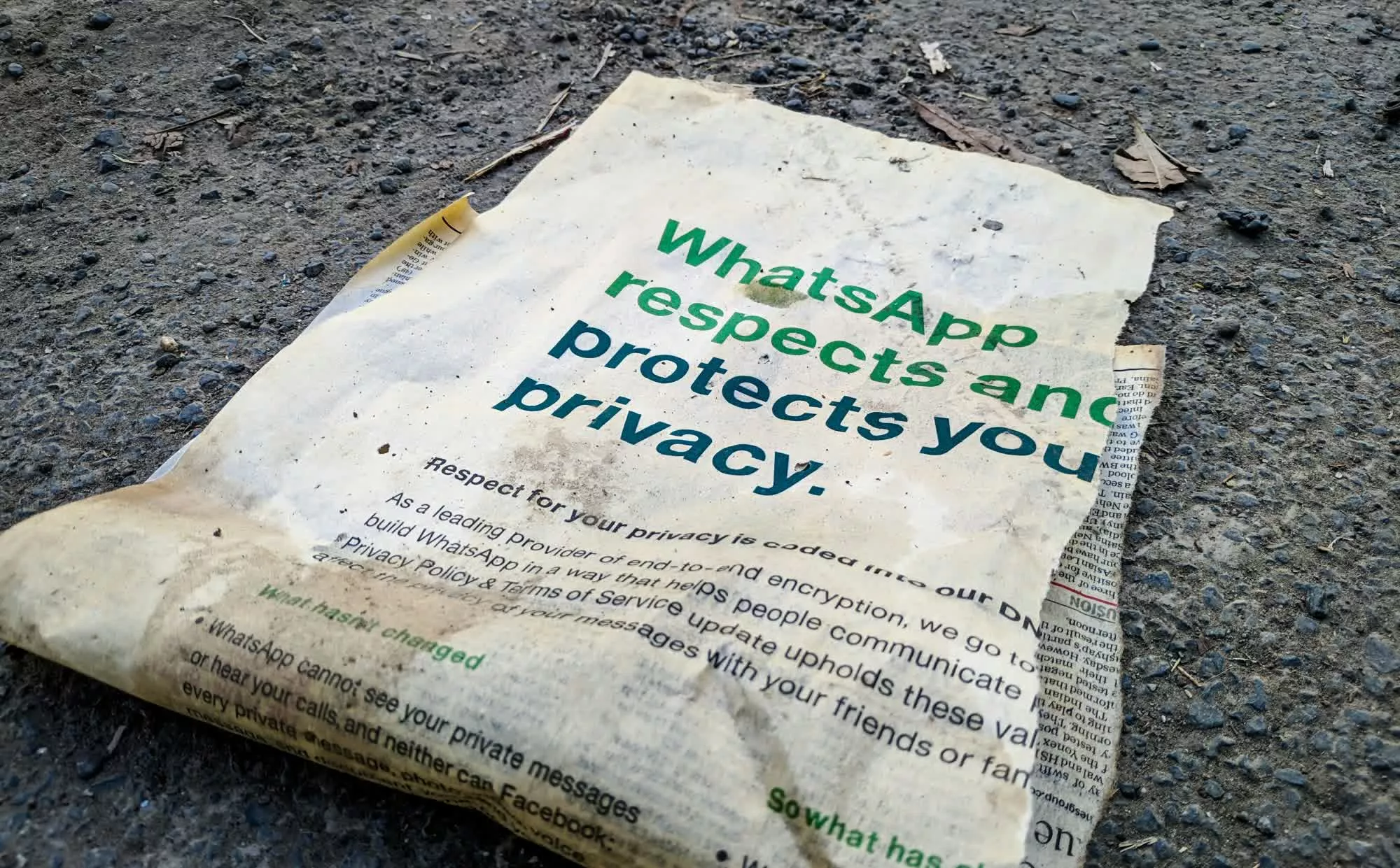 O vulnerabilitate WhatsApp a permis cercetătorilor să colecteze 3,5 miliarde de numere de telefon, fotografii și statusuri